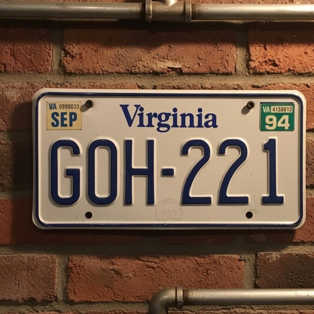 Virginia License Plate GOH-221 Blue White Embossed Metal Decor Vintage 1994